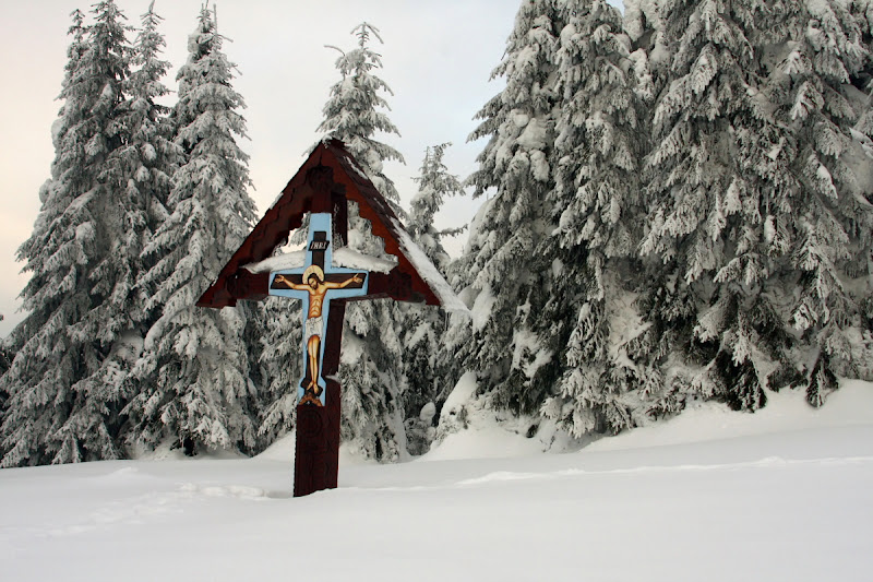 iarna zăpadă schi Lăcăuți Covasna Munții Vrancei cruce
