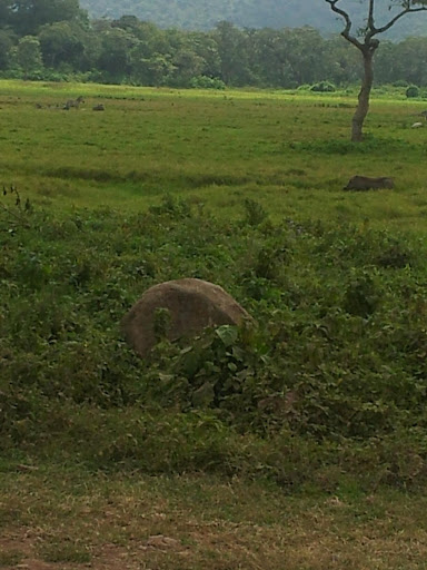 Hatari Lodge
