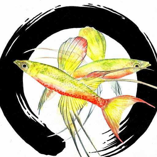 Aquarium Zen logo