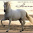 LEE GALEN avatar image