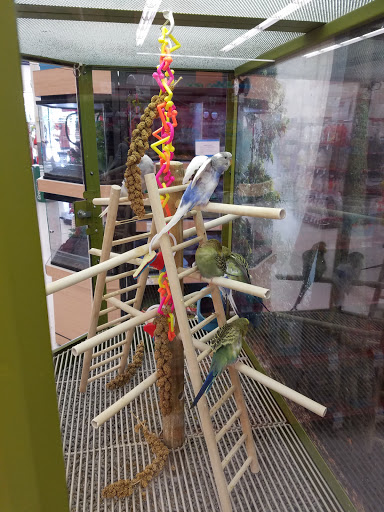 Petco Grooming