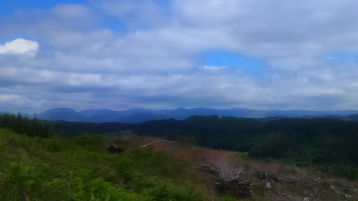 Grizedale