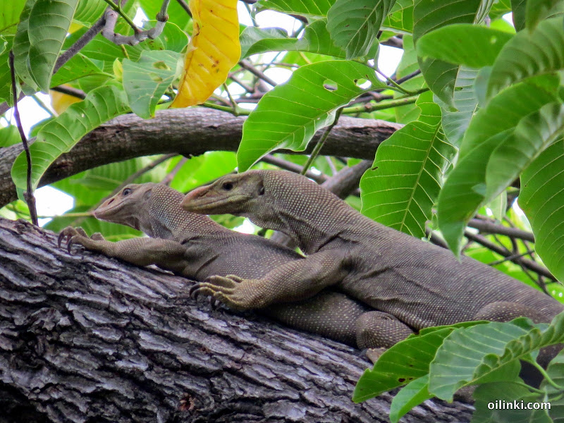 IMG_0066.JPG