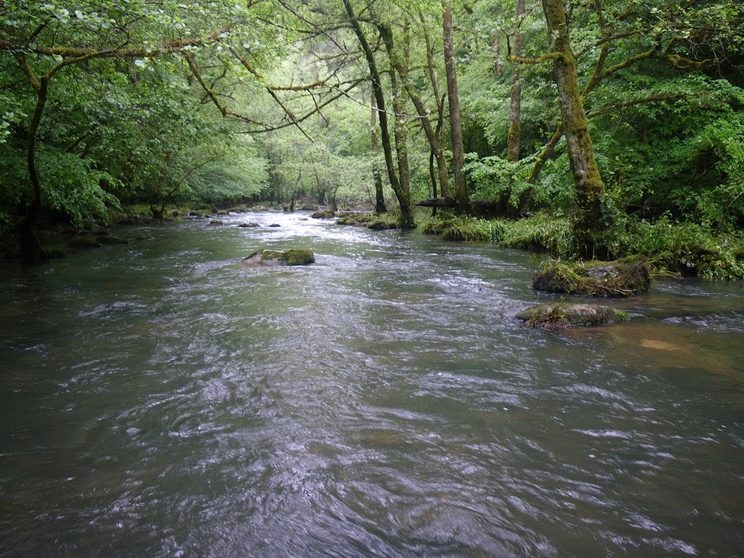Sortie Corrèze juin 2016 IMGP6206