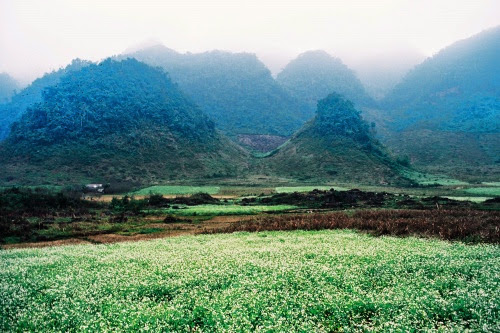 Đến Tà Pình say cảnh, say tình ta pinh say canh say tinh.4 Đến Tà Pình say cảnh, say tình