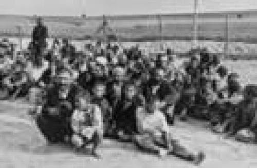 Gypsy Holocaust The Debate Over Naming The Baro Porajmos