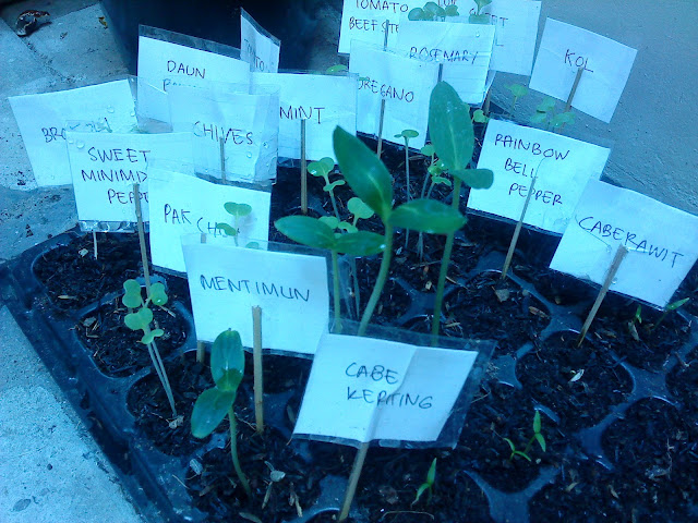 Vegetable Lovers - Official Thread - Part 2