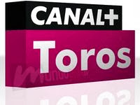ver canal plus sin cortes VER CANAL PLUS SIN CORTES