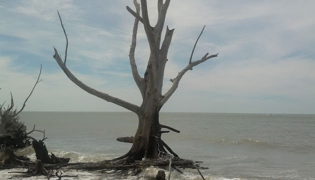 Cover photo