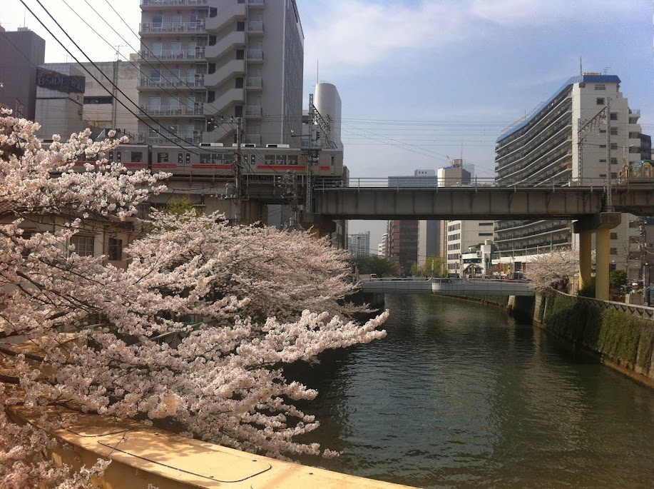 sakura meguro tokyo