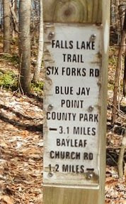 Falls Lake Section 6