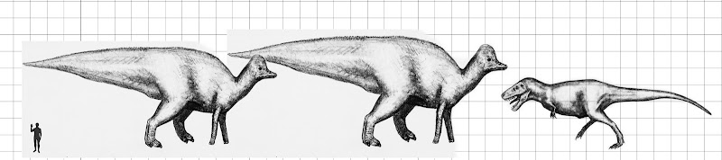 Die größten Sauropoden - Seite 4 Magnapaulia_T.rex