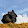 LB Photography LB Photography's profile photo