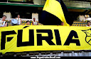 TORCIDA ORGANIZADA FÚRIA AURINEGRA