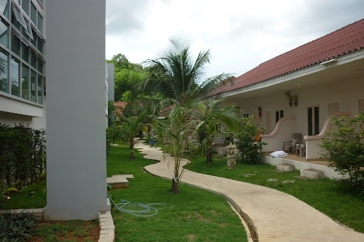 The Natural Resort