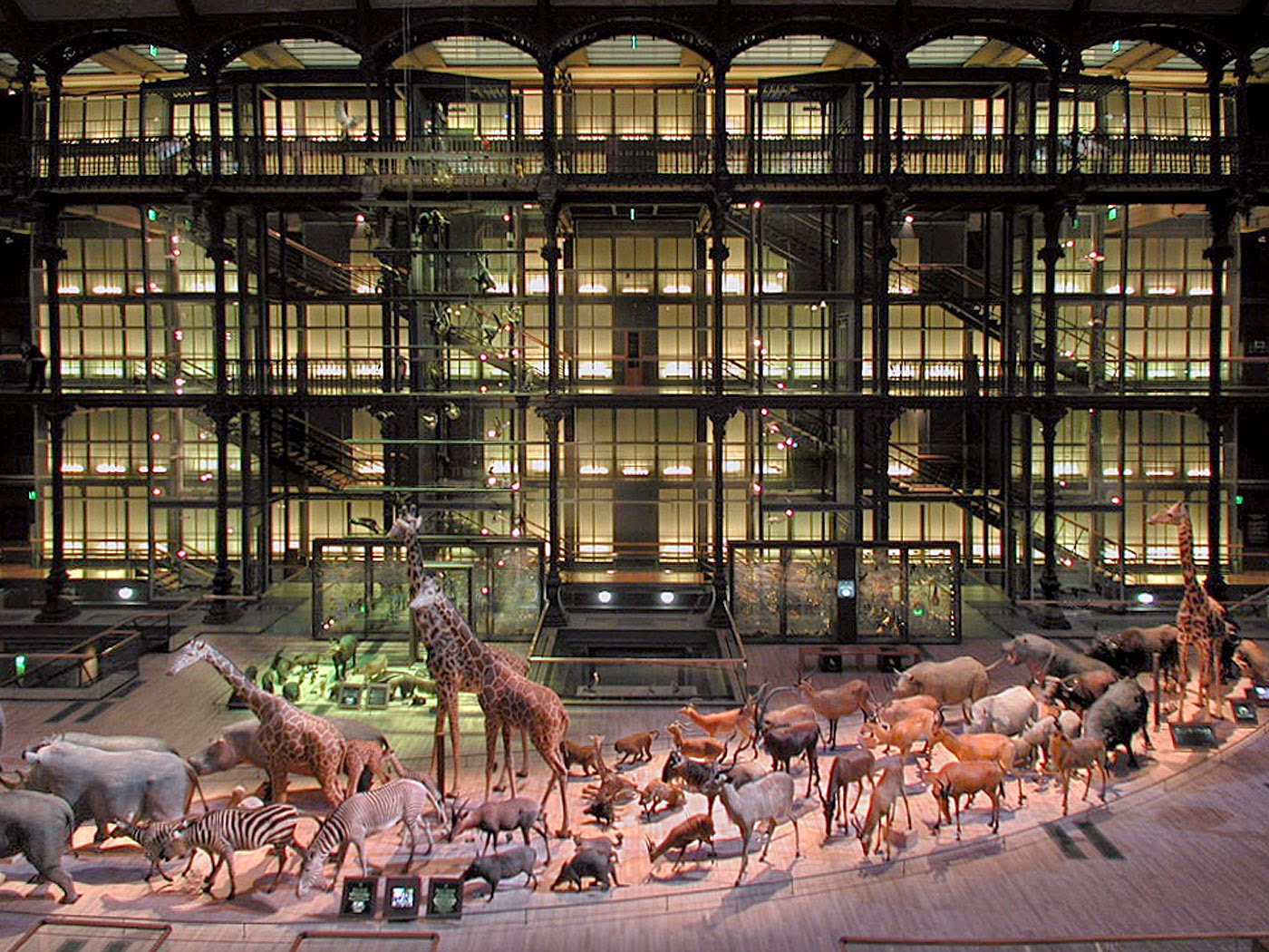 Grande Galerie de l'Évolution