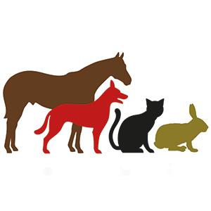 Animed Veterinary Group – Cowplain logo