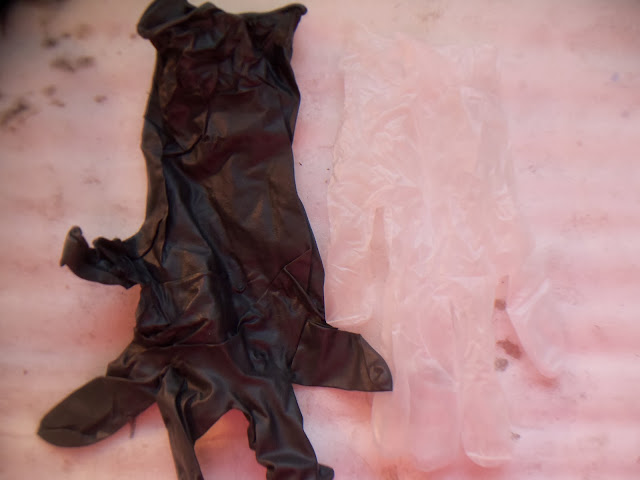 106_6604.JPG
