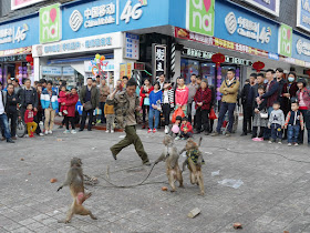 monkeys performing in Nanping, Zhuhai