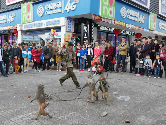 monkeys performing in Nanping, Zhuhai