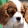 Alicia C. Staley Alicia C. Staley's profile photo