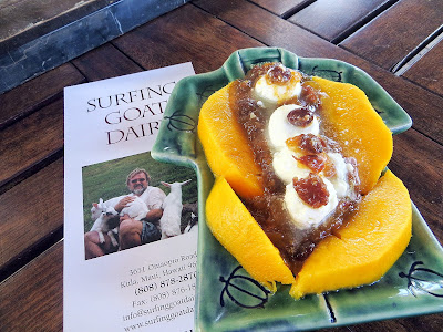 Surfing Goat Dairy Farm Cheese on the shirt snack in Maui includes 4 Ping Pong Balls (drained chevre in olive oil with garlic) of goat cheese on Mango Chutney
