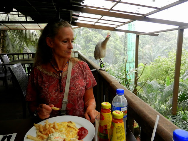 Hornbill Restaurant, KL Bird Park, Kuala Lumpur, Malaysia