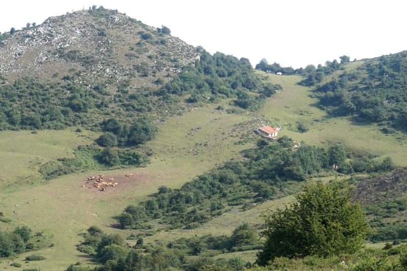 La Mostayal (Sª del Aramo) - Descubriendo Asturias (13)
