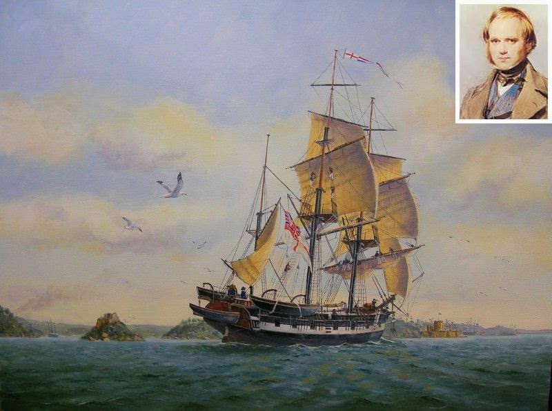 HMS_Beagle.