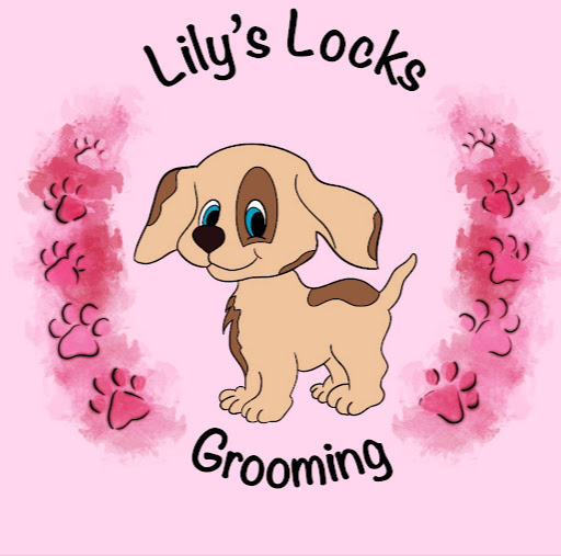 Lily's lock's dog grooming