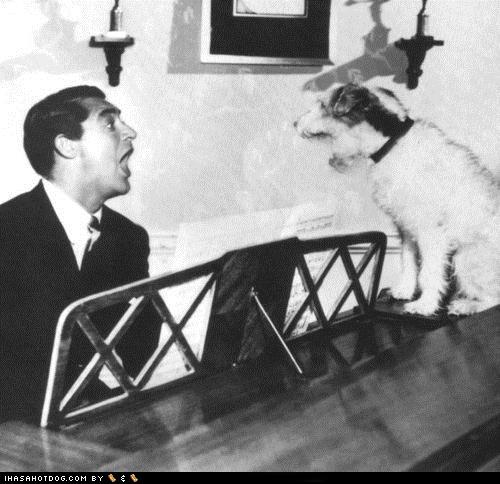 cary%2520grant%2520and%2520dog%2520funny-dog-pictures-cary-grant.jpg