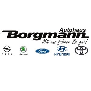 Autohaus Borgmann logo