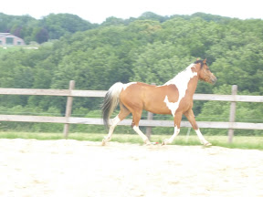Openen