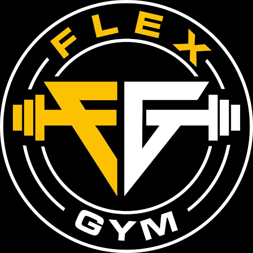 Flex Gym logo