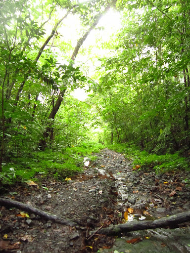 IMG_3969.JPG