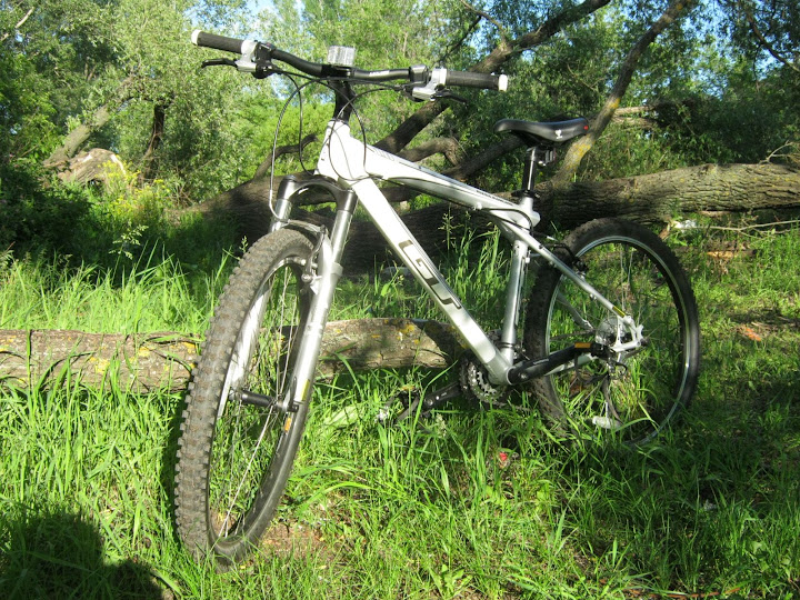 gt avalanche 1.0 2010