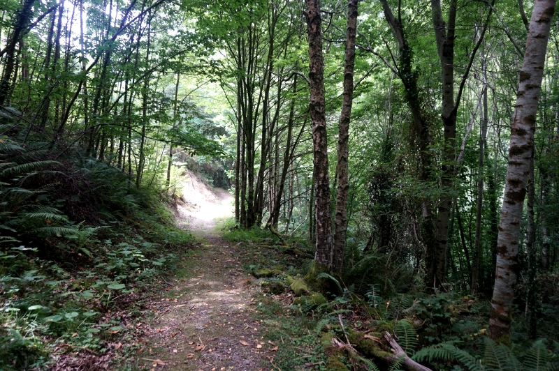 Ruta del Agua (Taramundi) - Descubriendo Asturias (23)