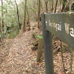 Signpost Guringai Walk (227758)