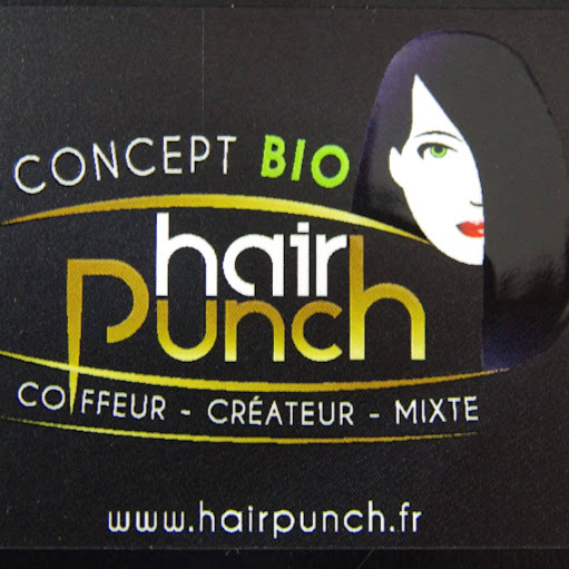 Concept BIO HAIR PUNCH logo