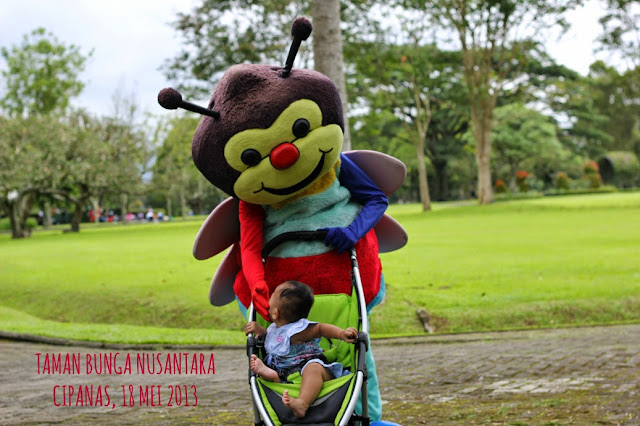  Taman Bunga Nusantara Puncak Cipanas