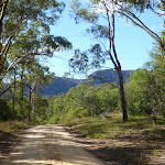 Looking east to the escarpment on Nellies Glen Road (412133)