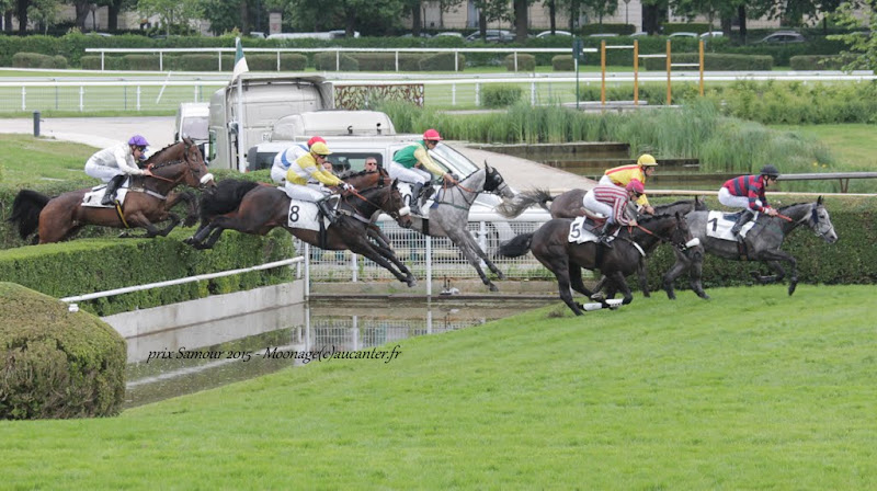 Photos Auteuil 16-05-2015 Week-end printanier de l'obstacle  IMG_9576