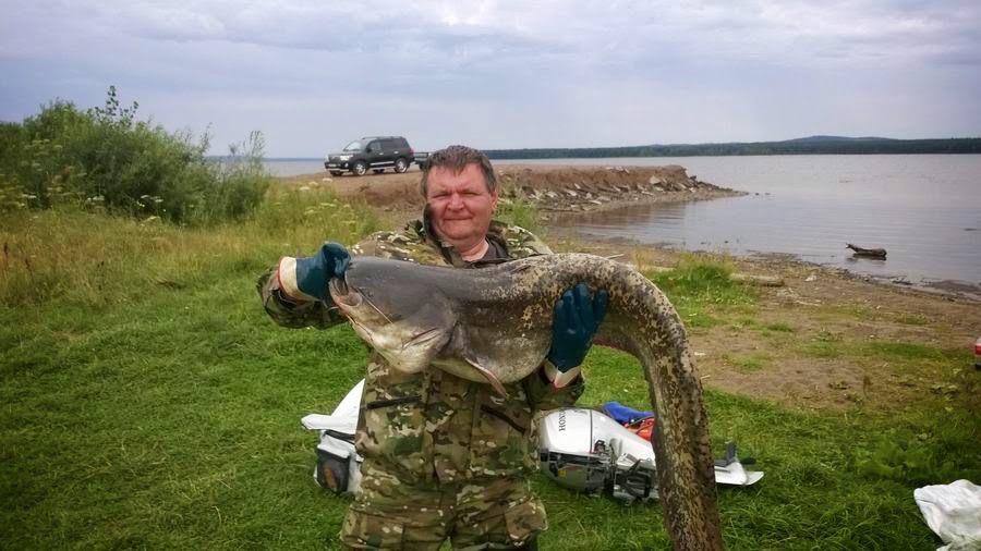 все о рыбалке на сорочинском водохранилище все о рыбалке на сорочинском водохранилище
