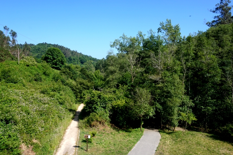 Senda Fluvial del Río Viacaba (Cabranes) - Descubriendo Asturias (21)
