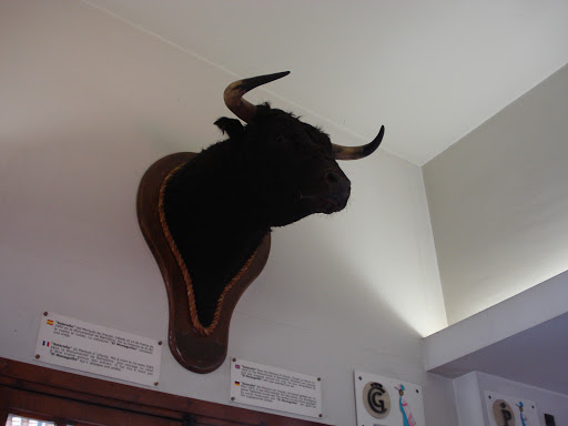 Museu Taurí De La Monumental