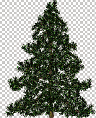 alberi074.jpg