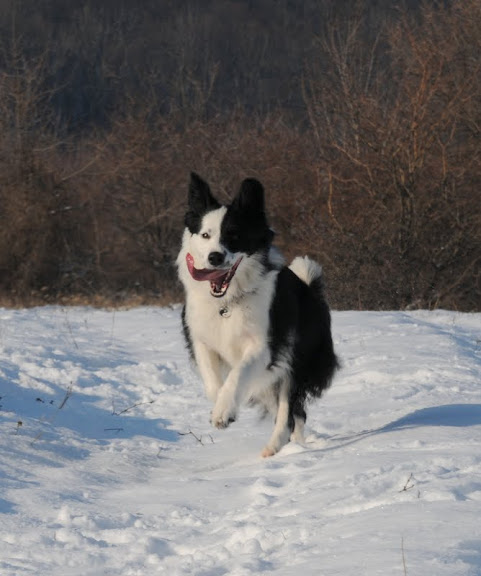 DSC_2971.JPG