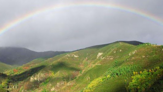 Cover photo