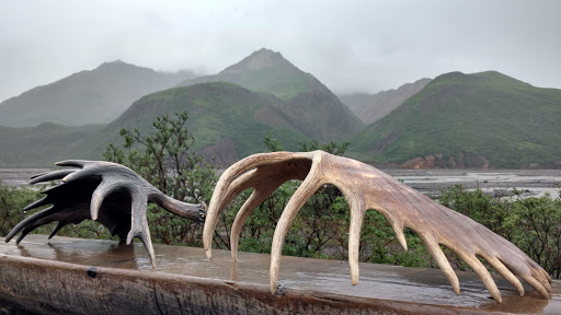 Denali Visitor Center