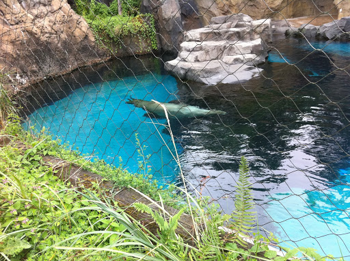 Oregon Zoo:Educational Resources
